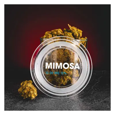 Kratom World Květy Mimosa 10-OH HHC 10% 1g THC do 1%