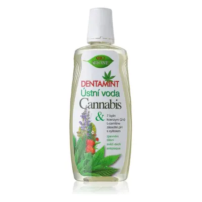 BC Bione Cosmetics Dentamint ústní voda Cannabis 500 ml