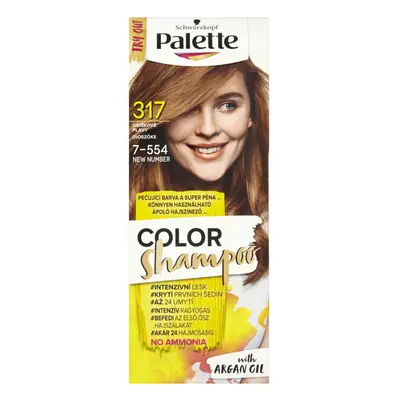 PALETTE COLOR ŠAMPON OŘÍŠK.PLAVÝ 7-554 317