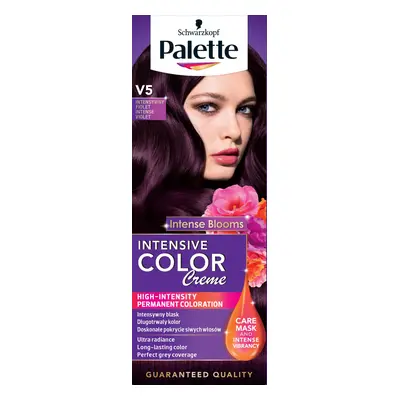 PALETTE ICC INTENZIVNÍ FIALOVÝ 6-99 V5