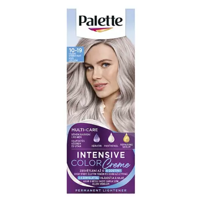 PALETTE ICC Chladná stříbrná blond 10-19