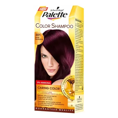 PALETTE COLOR ŠAMPON Bordo 4-99 .. 301