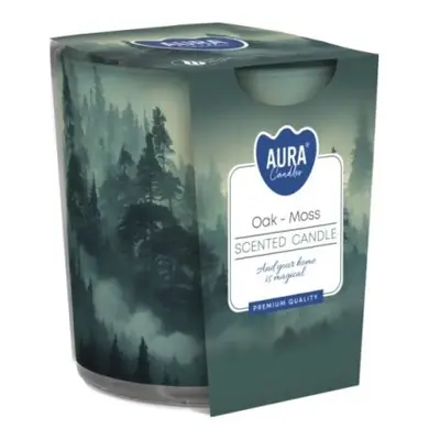 Aura Bispol vonná svíčka ve skle Oak-Moss 100g