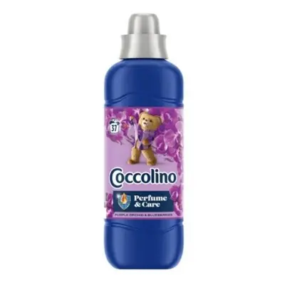 Coccolino aviváž 925ml (37 PD) - Creations Purple Orchid&Blueberries