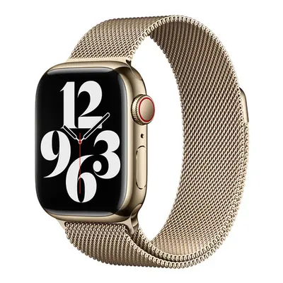 Apple Watch 38/40/41 mm Zlatý milánský tah MTJL3ZM/A