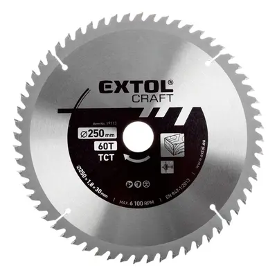 EXTOL CRAFT Kotouč pilový s SK plátky, 250x1,8x30mm, 60T, šířka SK plátku 3,1mm