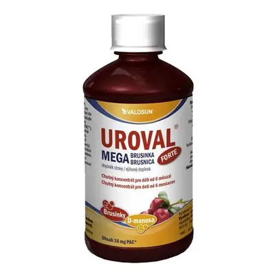 UROVAL Megabrusinka FORTE sirup ml