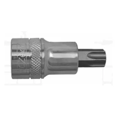 Zástrčné hlavice 1/2” TORX s otvorem (různé velikosti) - 4CZech Velikost: TT20