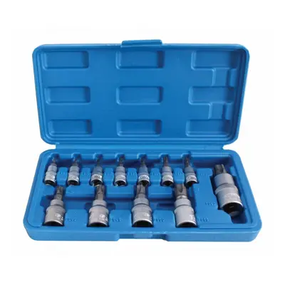 Zástrčné hlavice TORX-TS s otvorem 1/4", 3/8" a 1/2", TS8-TS60, sada 12 ks - SATRA