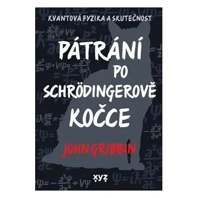 Pátrání po Schrödingerově kočce