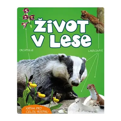 Život v lese