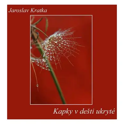 Kapky v dešti ukryté