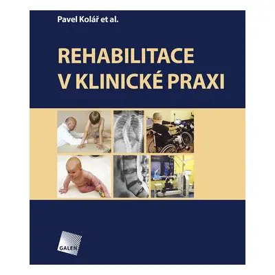 Rehabilitace v klinické praxi