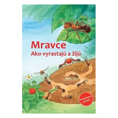 Mravce