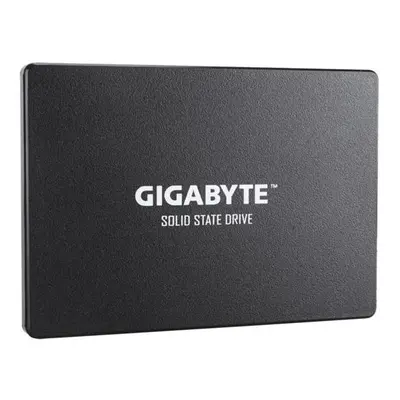 GIGABYTE SSD 1TB, GP-GSTFS31100TNTD