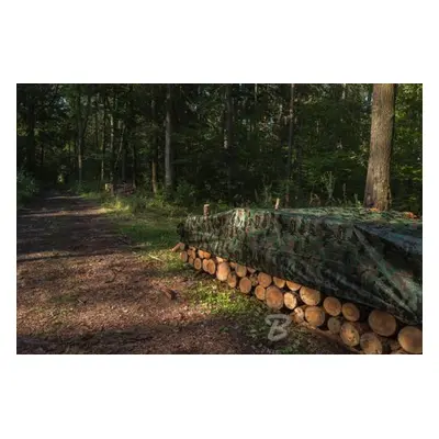 Bradas plachta zakrývací 4x3m 90g maskovací CAMOforest BR-PLCF903/4