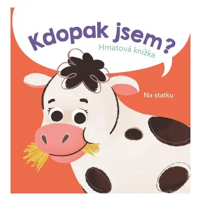 Kdopak jsem? Na statku