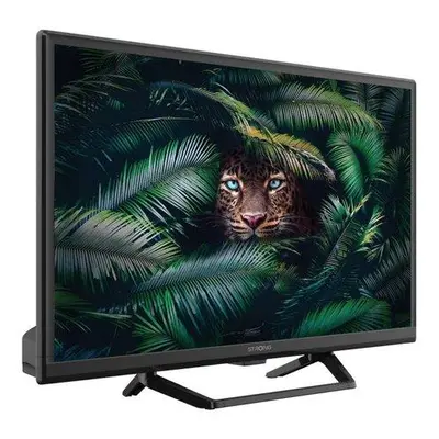 STRONG LED TV 24"/ SRT24HE4023C/ HD Ready/ 1366x768/ DVB-T2/C/S2/ H.265/HEVC/ 2x HDMI/ USB/ 12V/