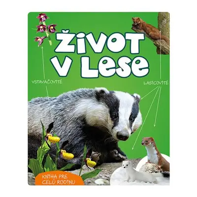 Život v lese