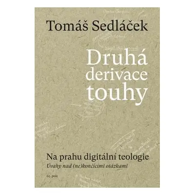 Druhá derivace touhy Na prahu digitální teologie