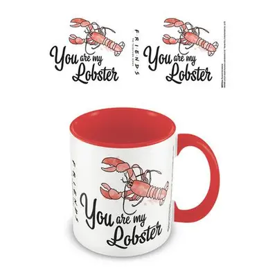 EPEE merch Hrnek Přátelé You are my lobster keramický a karneval 315 ml