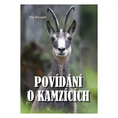 Povídání o kamzících