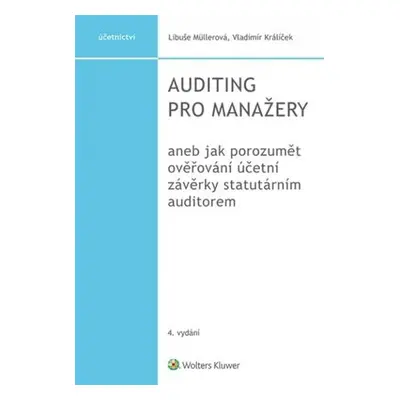 Auditing pro manažery