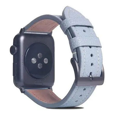 SLG Design remienok D8 Edition pre Apple Watch 42/44/45mm - Powder Blue