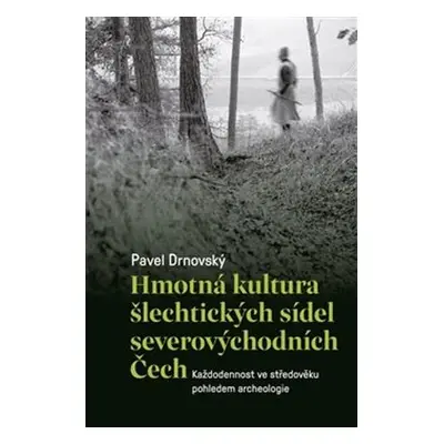 Hmotná kultura šlechtických sídel severovýchodních Čech