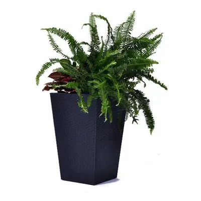 Keter Rattan planter M - grafit