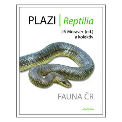 Plazi/ Reptilia