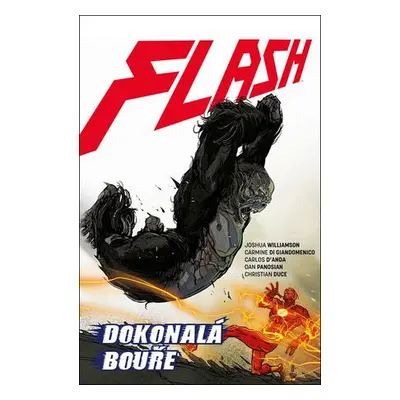 Flash Dokonalá bouře