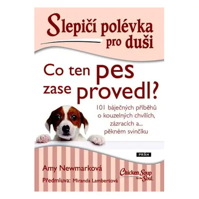 Slepičí polévka pro duši Co ten pes zase provedl?