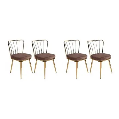 Hanah Home Chair Set (4 Pieces) Yıldız-927 V4 Light BrownGold