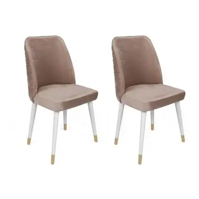 Hanah Home Chair Set (2 Pieces) Hugo-404 V2 BeigeWhite Gold