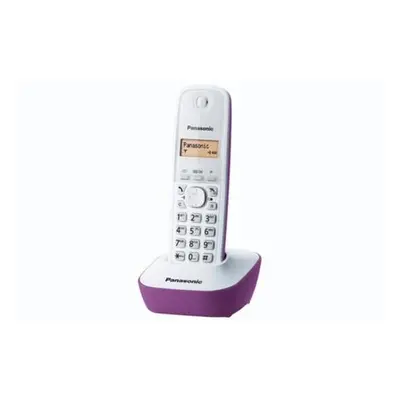 PANASONIC KX-TG1611FXF, TBFSPATG1611004