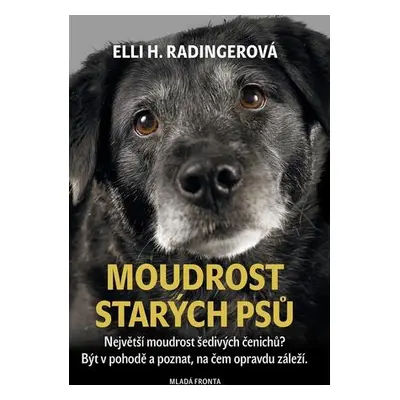 Moudrost starých psů