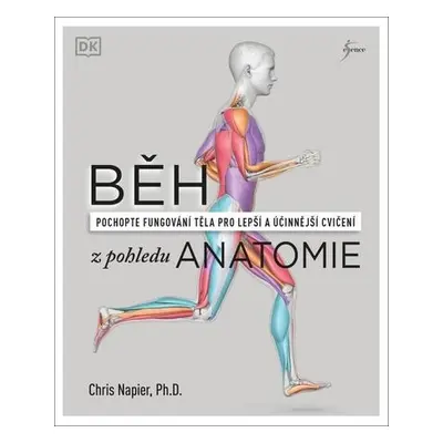 Běh z pohledu anatomie