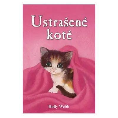 Ustrašené kotě