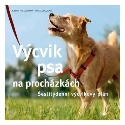 Výcvik psa na procházkách