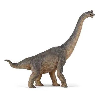 Brachiosaurus