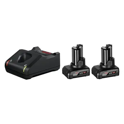 Bosch 2× GBA 12V 6.0Ah + GAL 12V-40 Professional Startovací sada