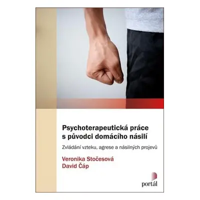 Psychoterapeutická práce s původci domácího násilí