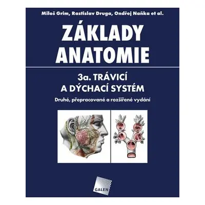 Základy anatomie