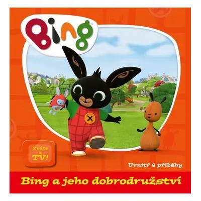 Bing a jeho dobrodružství