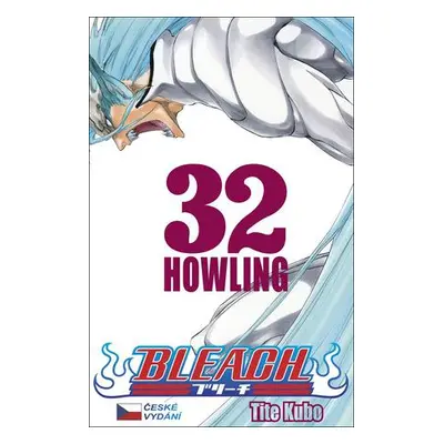 Bleach 32