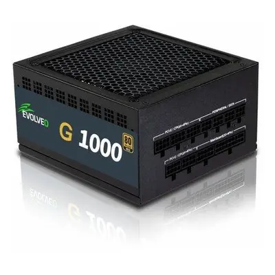 EVOLVEO G1000 PCIe 5.0, zdroj 1000W, ATX 3.0, 80+, EG1000R