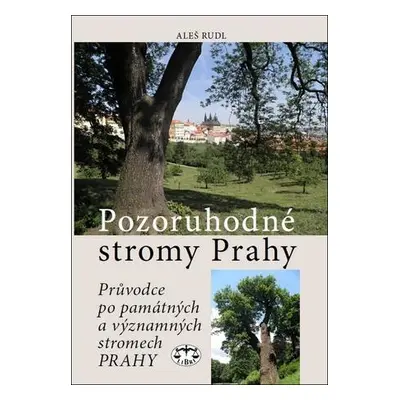 Pozoruhodné stromy Prahy