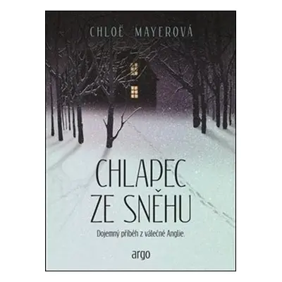 Chlapec ze sněhu