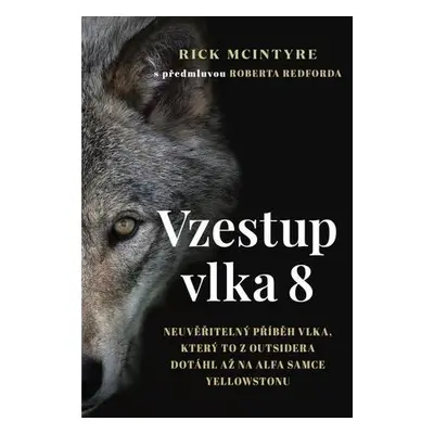 Vzestup vlka 8